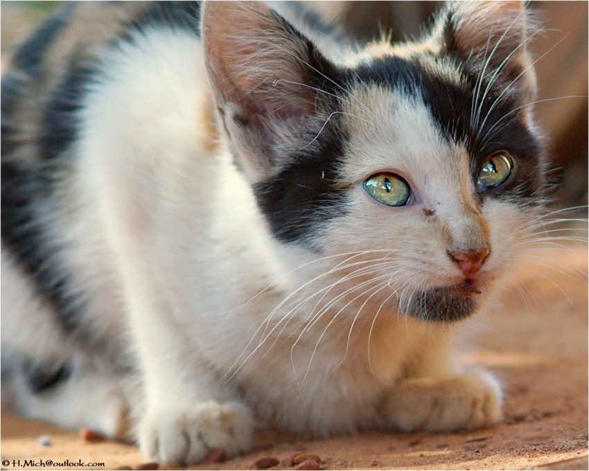 Studio-One.Art.br Repo Fotografia em Rio Preto SP/Brasil