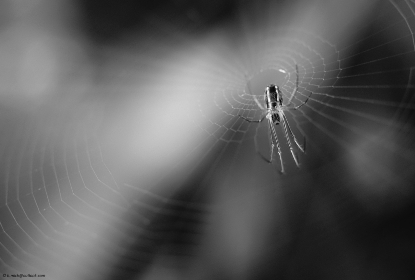 Studio-One.Art.br Repo Fotografia em Rio Preto SP/Brasil