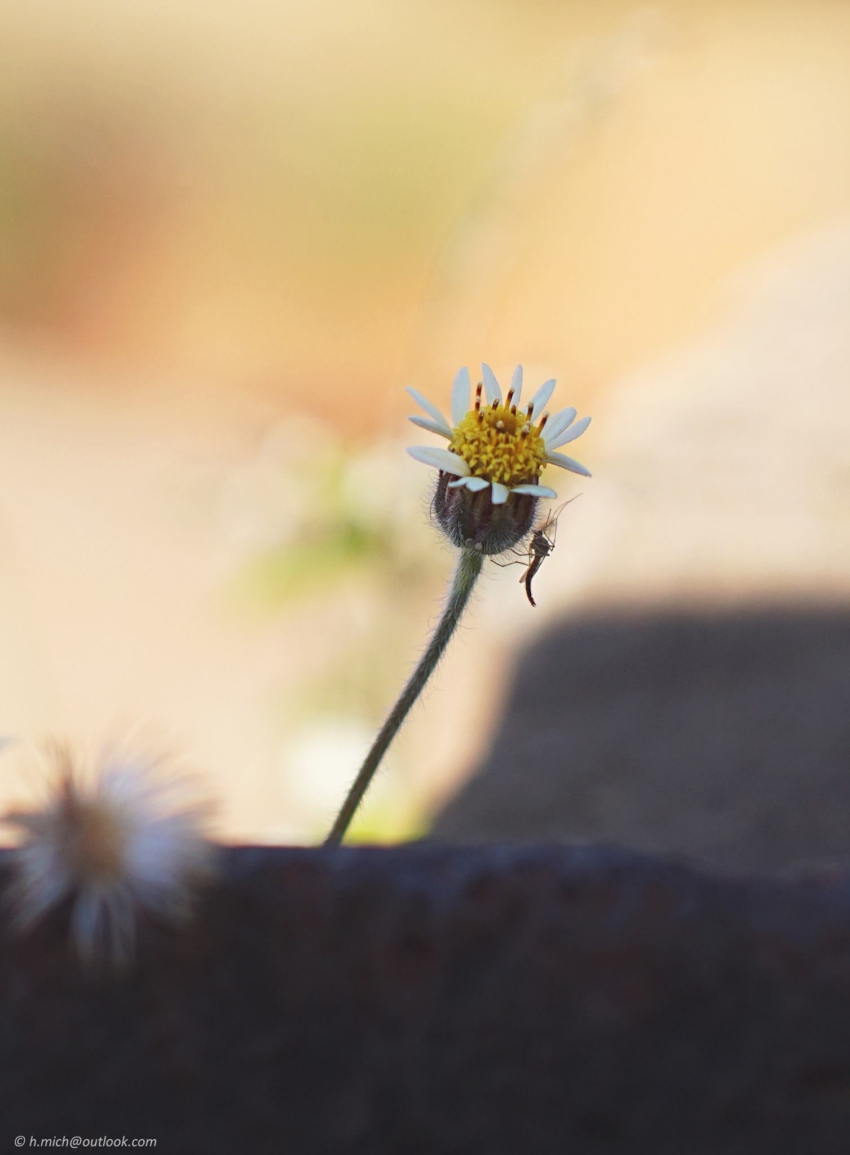 Studio-One.Art.br Repo Fotografia em Rio Preto SP/Brasil