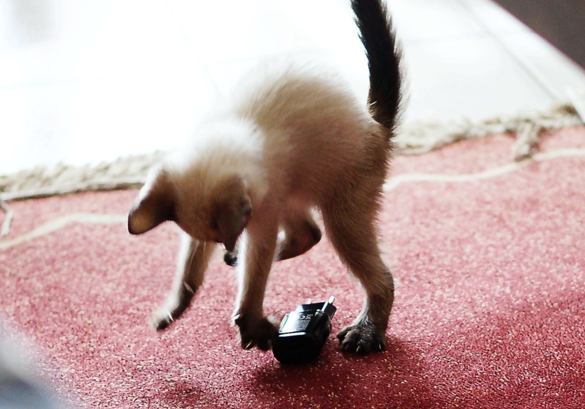 Studio-One.Art.br Repo Fotografia em Rio Preto SP/Brasil