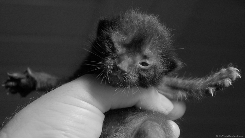 Studio-One.Art.br Repo Fotografia em Rio Preto SP/Brasil