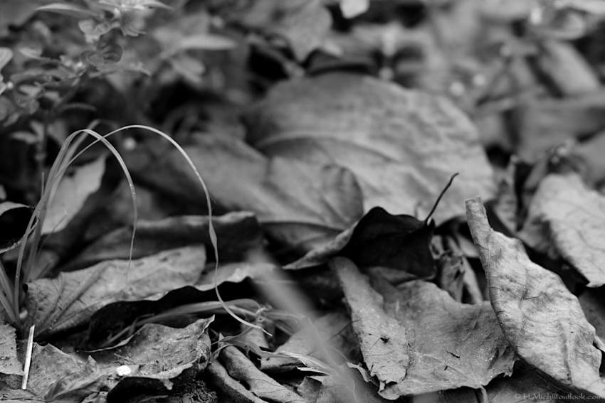 Studio-One.Art.br Repo Fotografia em Rio Preto SP/Brasil