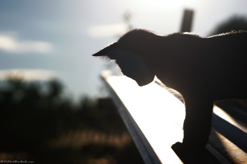 Studio-One.Art.br Repo Fotografia em Rio Preto SP/Brasil