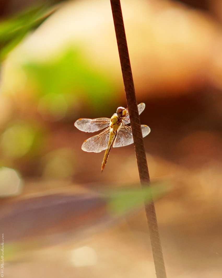 Studio-One.Art.br Repo Fotografia em Rio Preto SP/Brasil