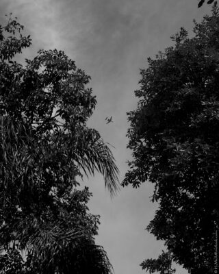 2022 06 16(101)