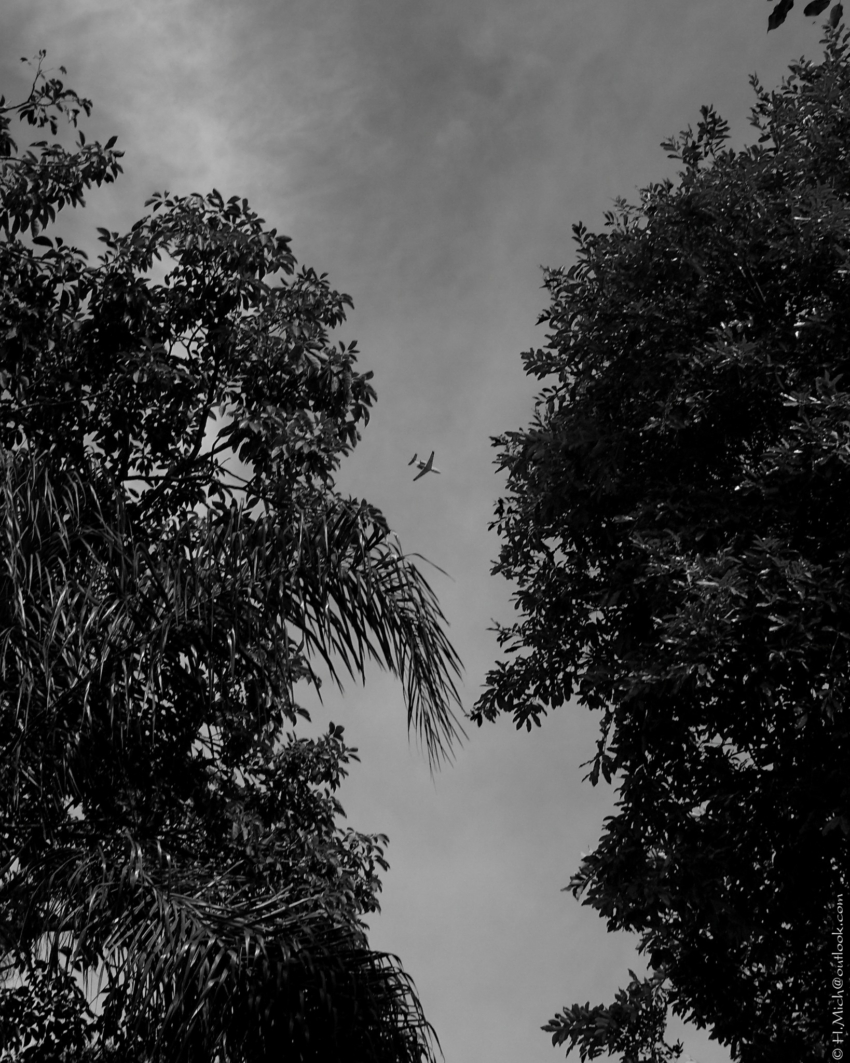 Studio-One.Art.br Repo Fotografia em Rio Preto SP/Brasil