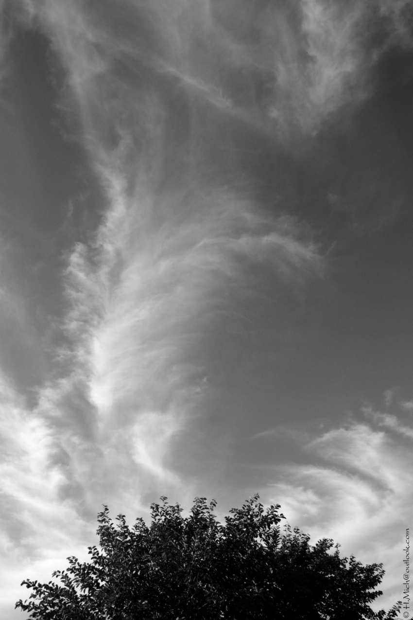 Studio-One.Art.br Repo Fotografia em Rio Preto SP/Brasil