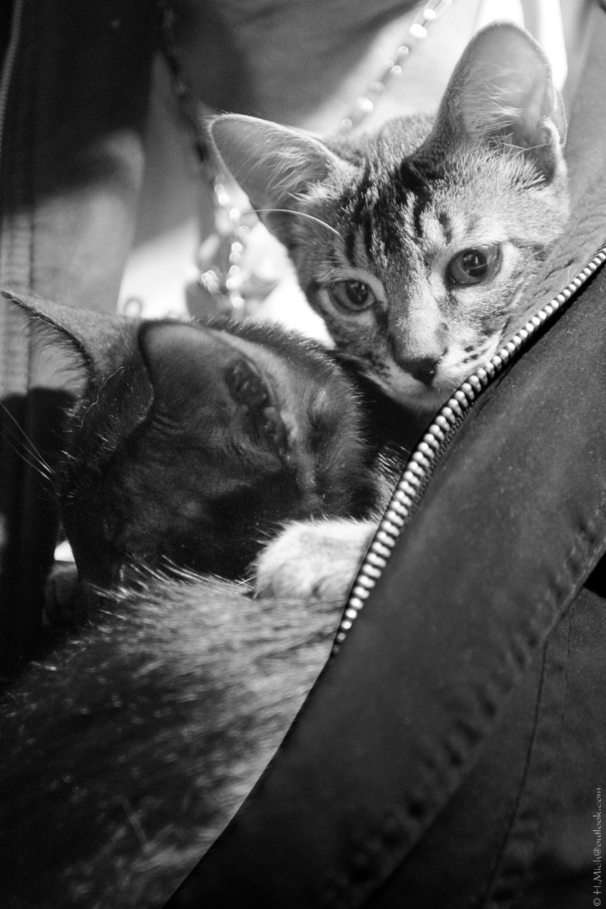 Studio-One.Art.br Repo Fotografia em Rio Preto SP/Brasil