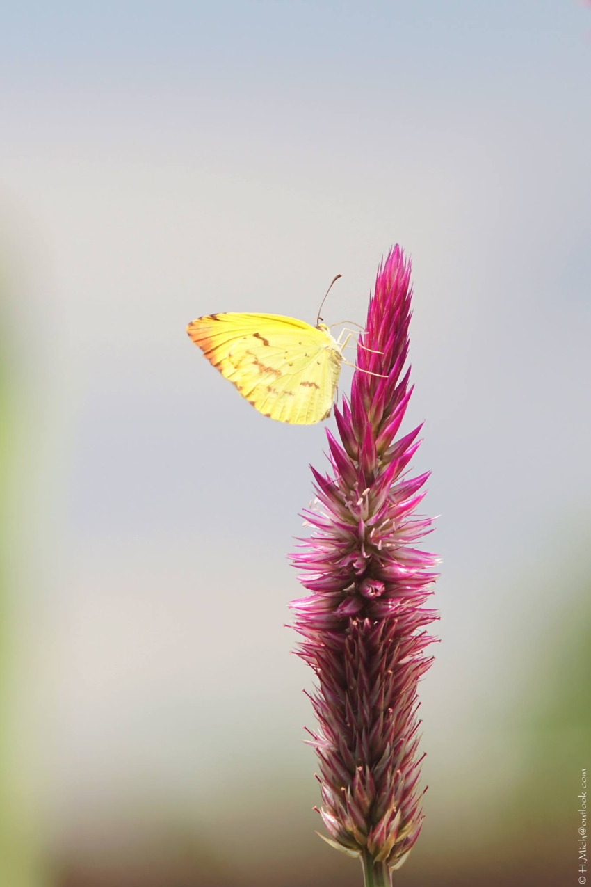 Studio-One.Art.br Repo Fotografia em Rio Preto SP/Brasil
