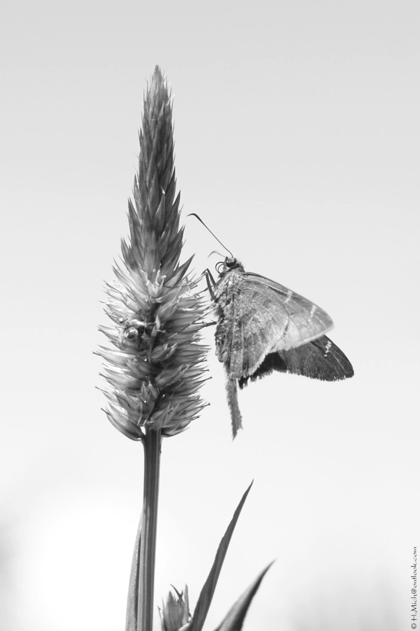 Studio-One.Art.br Repo Fotografia em Rio Preto SP/Brasil