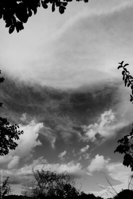 2022 06 16(103)