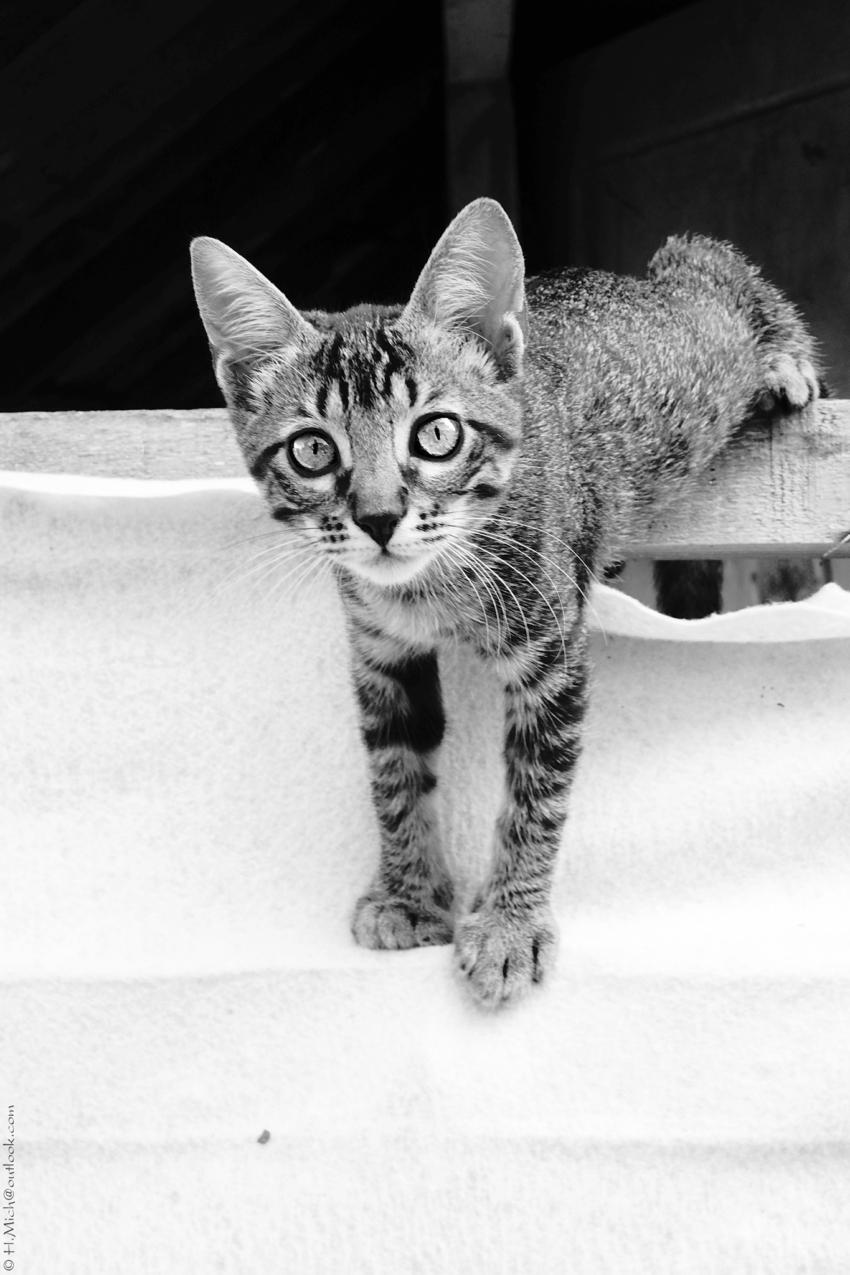 Studio-One.Art.br Repo Fotografia em Rio Preto SP/Brasil