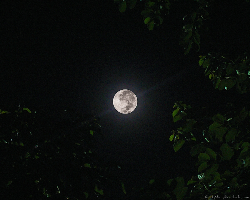 Studio-One.Art.br Repo Fotografia em Rio Preto SP/Brasil