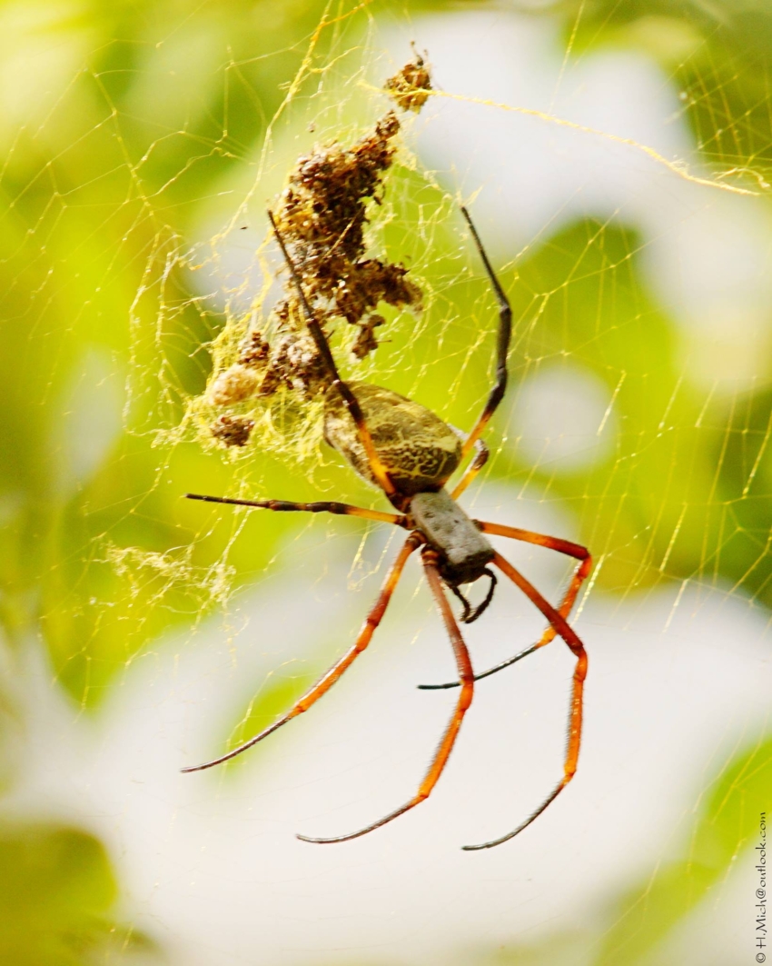 Studio-One.Art.br Repo Fotografia em Rio Preto SP/Brasil