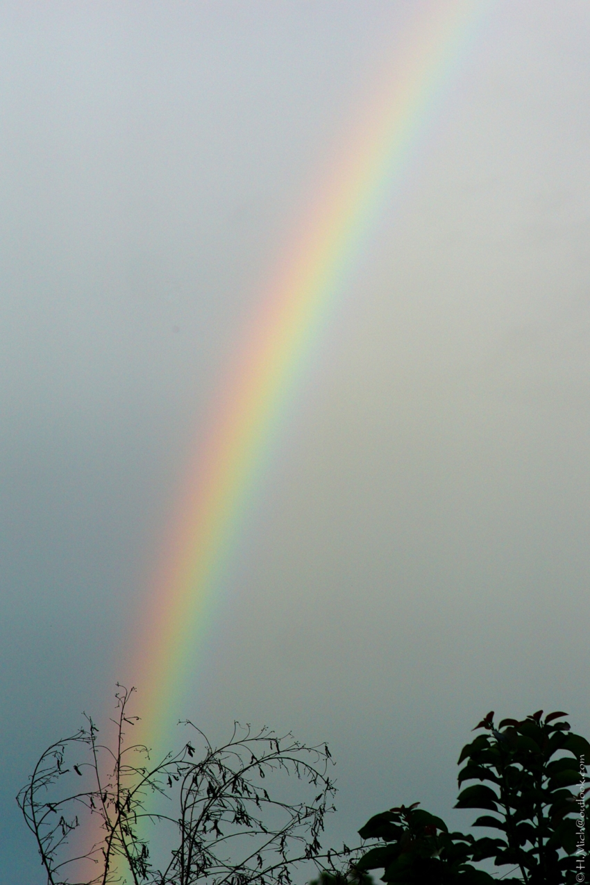 Studio-One.Art.br Repo Fotografia em Rio Preto SP/Brasil