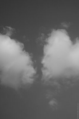 2022 06 16(104)