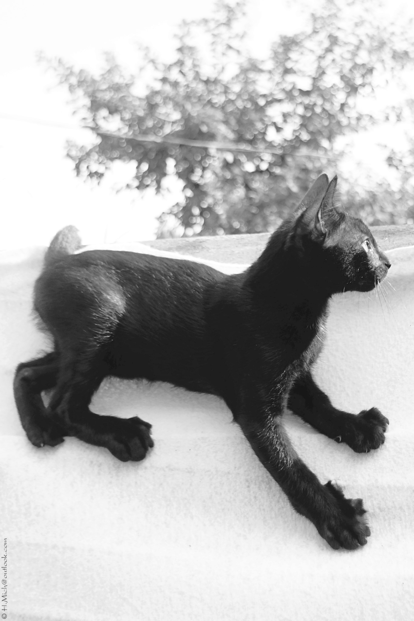 Studio-One.Art.br Repo Fotografia em Rio Preto SP/Brasil