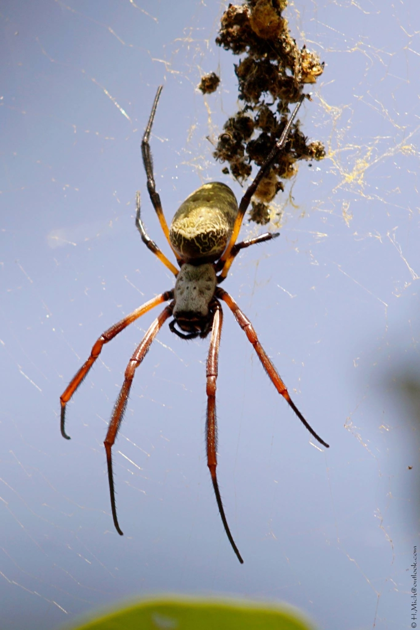 Studio-One.Art.br Repo Fotografia em Rio Preto SP/Brasil
