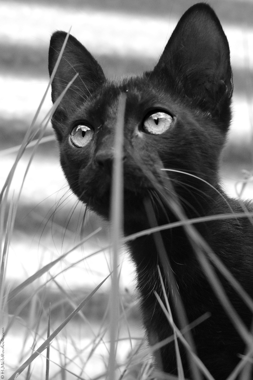 Studio-One.Art.br Repo Fotografia em Rio Preto SP/Brasil