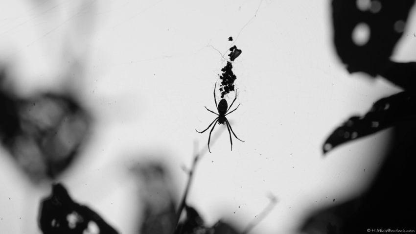 Studio-One.Art.br Repo Fotografia em Rio Preto SP/Brasil