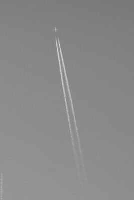 2022 06 16(107)