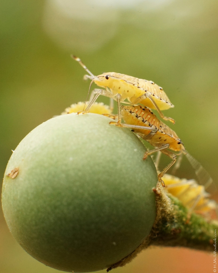 Studio-One.Art.br Repo Fotografia em Rio Preto SP/Brasil