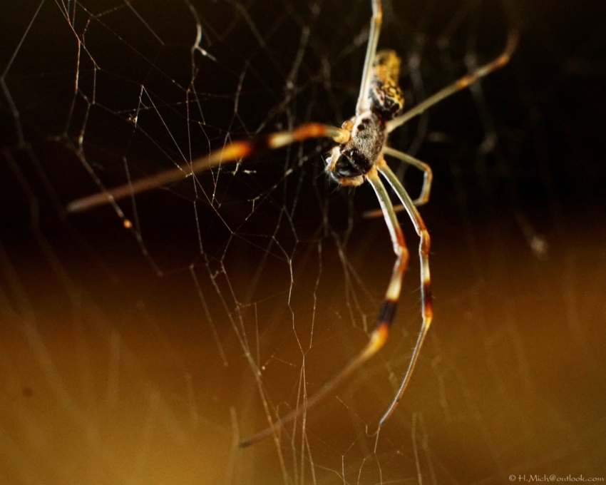 Studio-One.Art.br Repo Fotografia em Rio Preto SP/Brasil