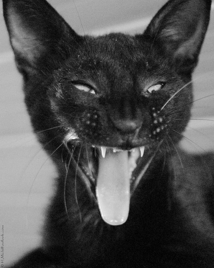 Studio-One.Art.br Repo Fotografia em Rio Preto SP/Brasil