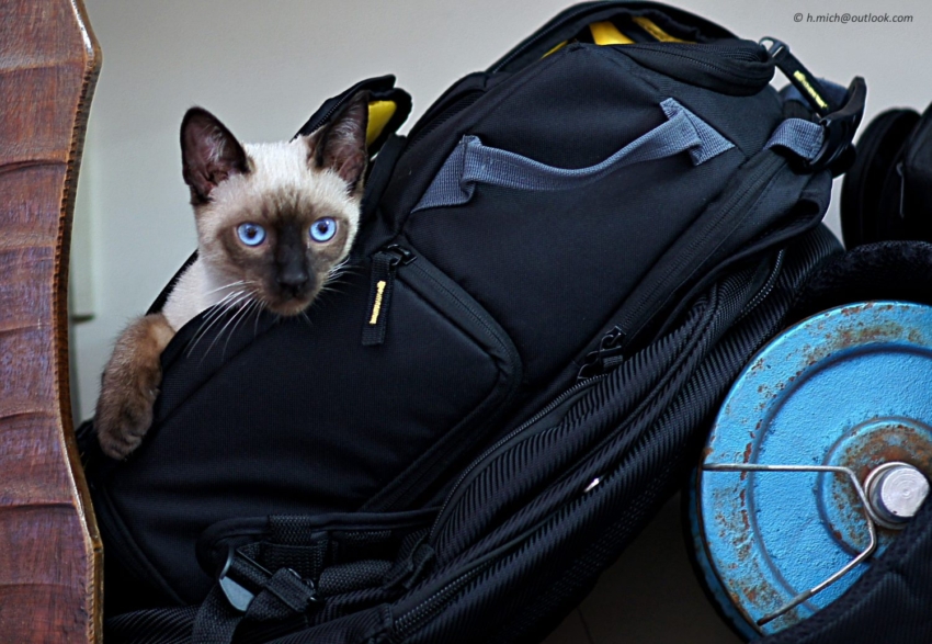 Studio-One.Art.br Repo Fotografia em Rio Preto SP/Brasil