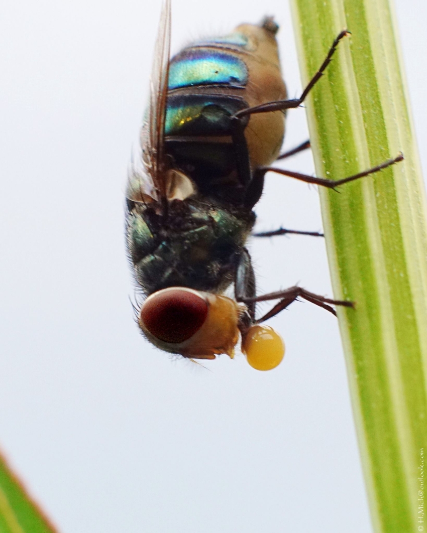 Studio-One.Art.br Repo Fotografia em Rio Preto SP/Brasil