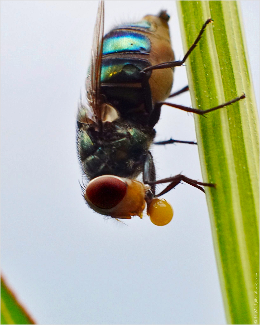 Studio-One.Art.br Repo Fotografia em Rio Preto SP/Brasil