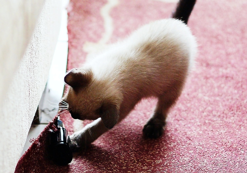 Studio-One.Art.br Repo Fotografia em Rio Preto SP/Brasil