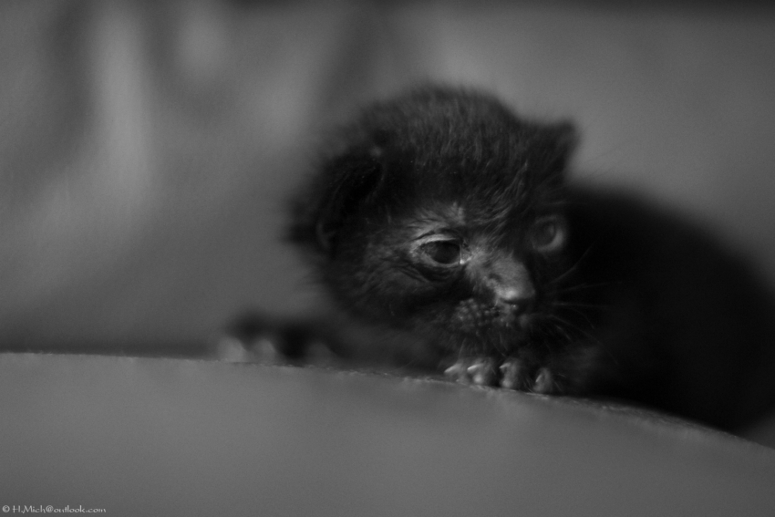 Studio-One.Art.br Repo Fotografia em Rio Preto SP/Brasil