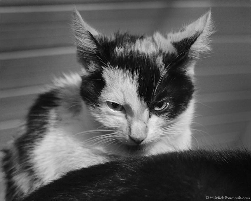 Studio-One.Art.br Repo Fotografia em Rio Preto SP/Brasil