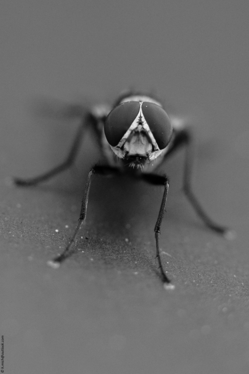 Studio-One.Art.br Repo Fotografia em Rio Preto SP/Brasil