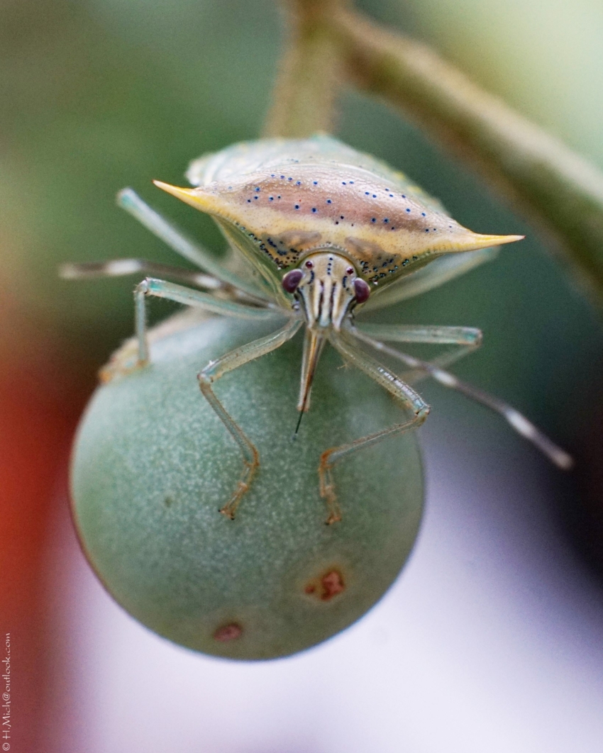 Studio-One.Art.br Repo Fotografia em Rio Preto SP/Brasil