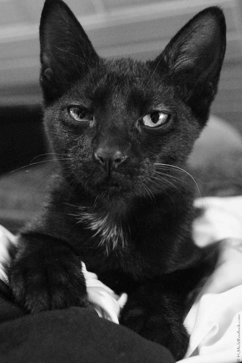 Studio-One.Art.br Repo Fotografia em Rio Preto SP/Brasil