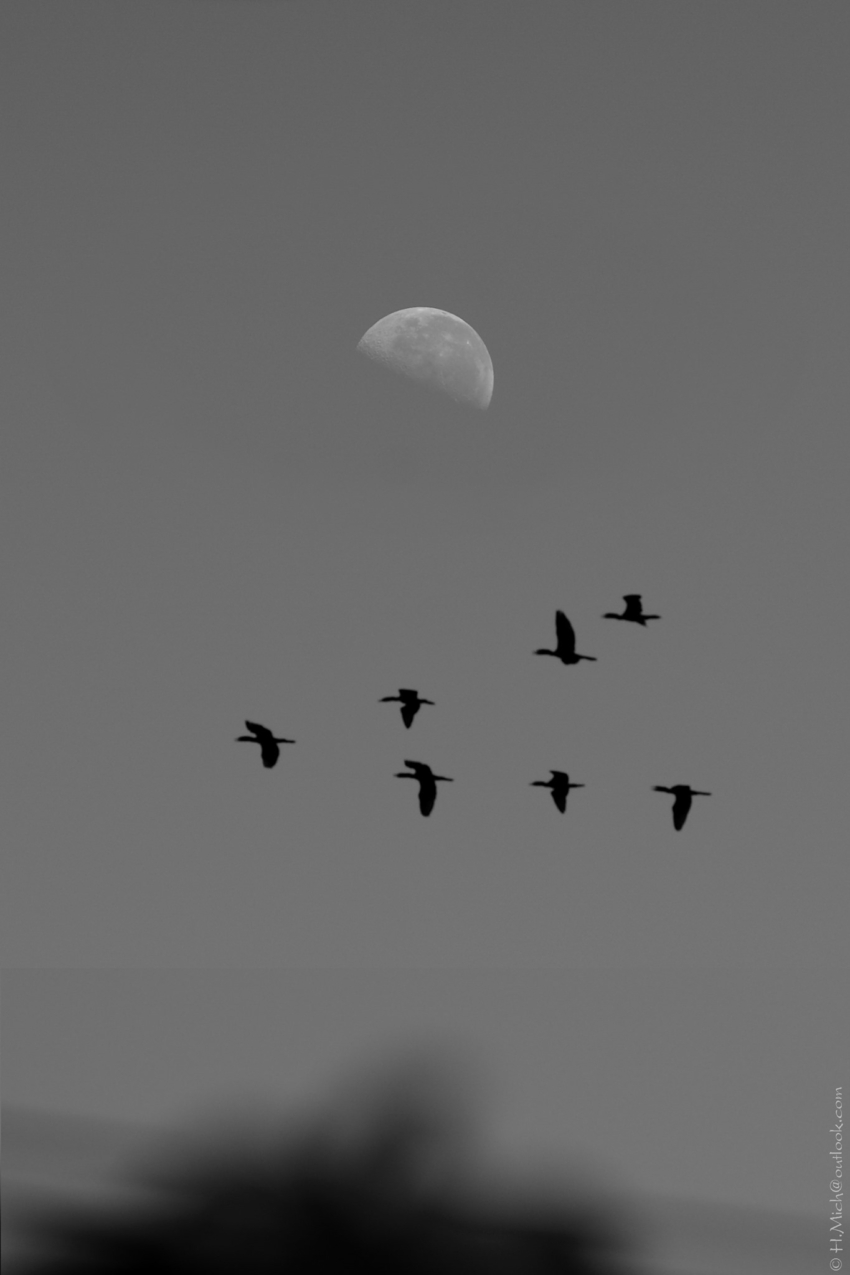 Studio-One.Art.br Repo Fotografia em Rio Preto SP/Brasil