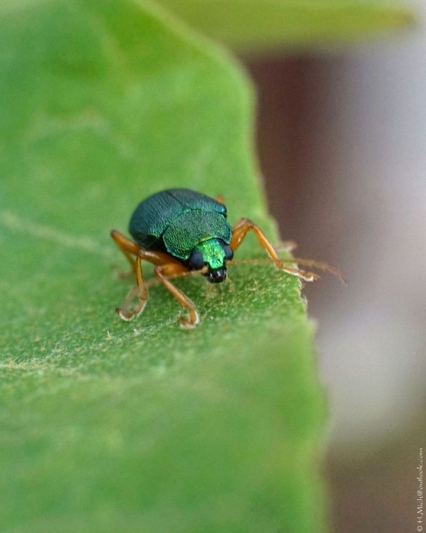 Studio-One.Art.br Repo Fotografia em Rio Preto SP/Brasil