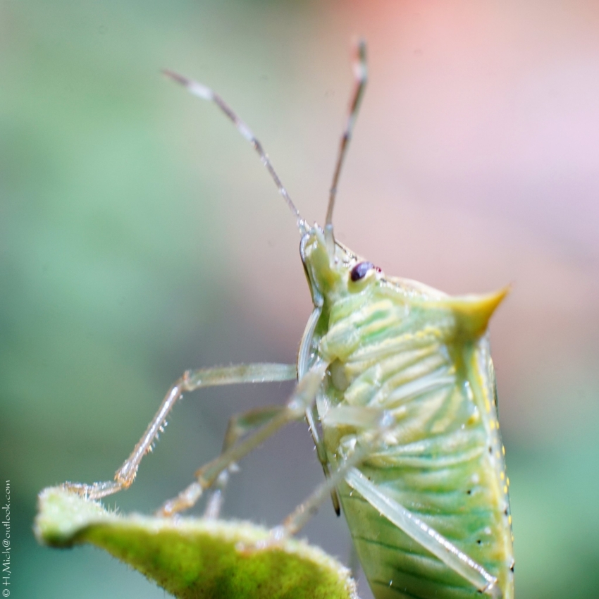 Studio-One.Art.br Repo Fotografia em Rio Preto SP/Brasil