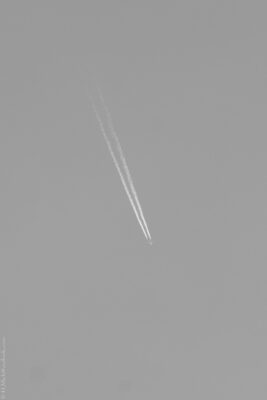 2022 06 16(113)