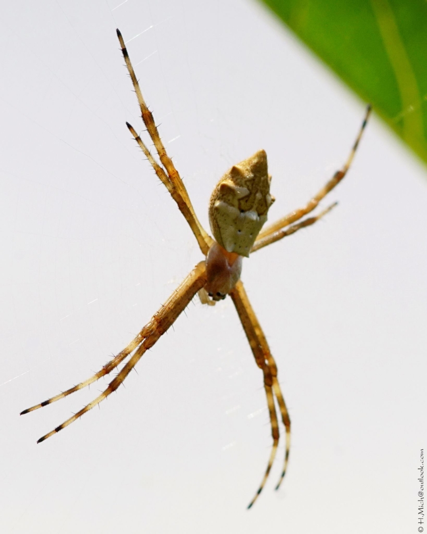 Studio-One.Art.br Repo Fotografia em Rio Preto SP/Brasil