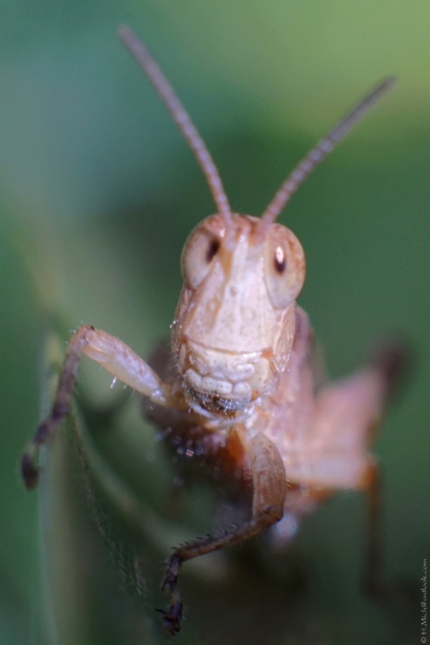 Studio-One.Art.br Repo Fotografia em Rio Preto SP/Brasil