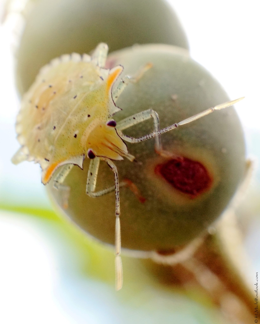 Studio-One.Art.br Repo Fotografia em Rio Preto SP/Brasil