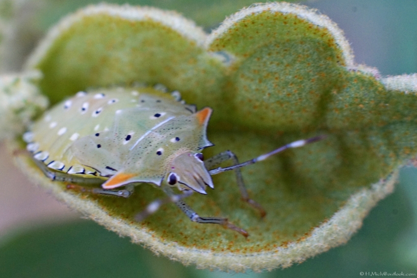Studio-One.Art.br Repo Fotografia em Rio Preto SP/Brasil