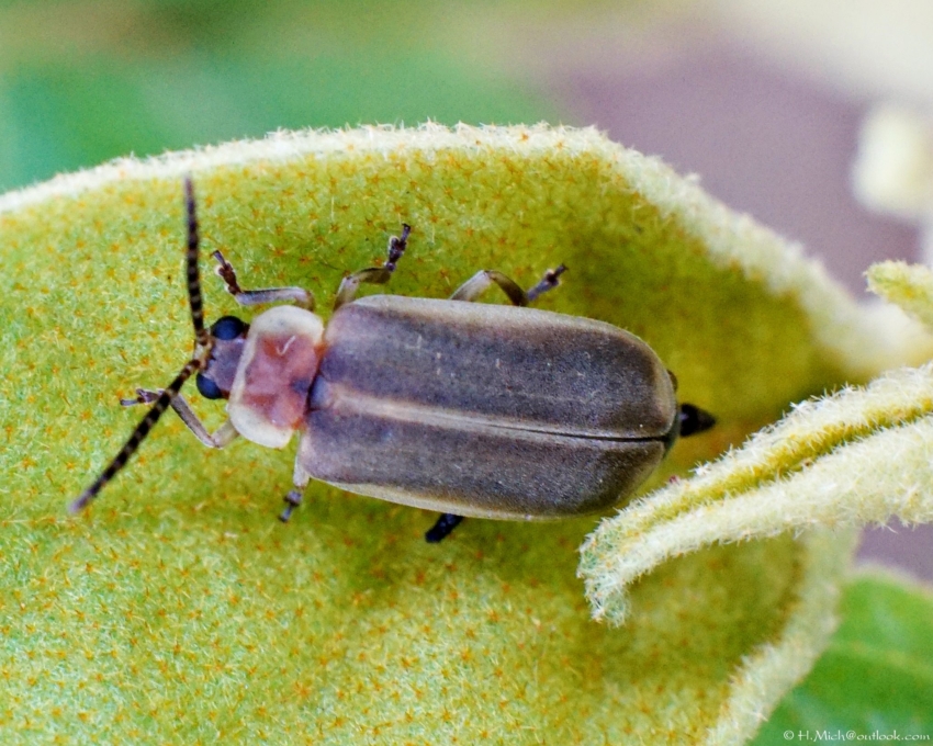 Studio-One.Art.br Repo Fotografia em Rio Preto SP/Brasil