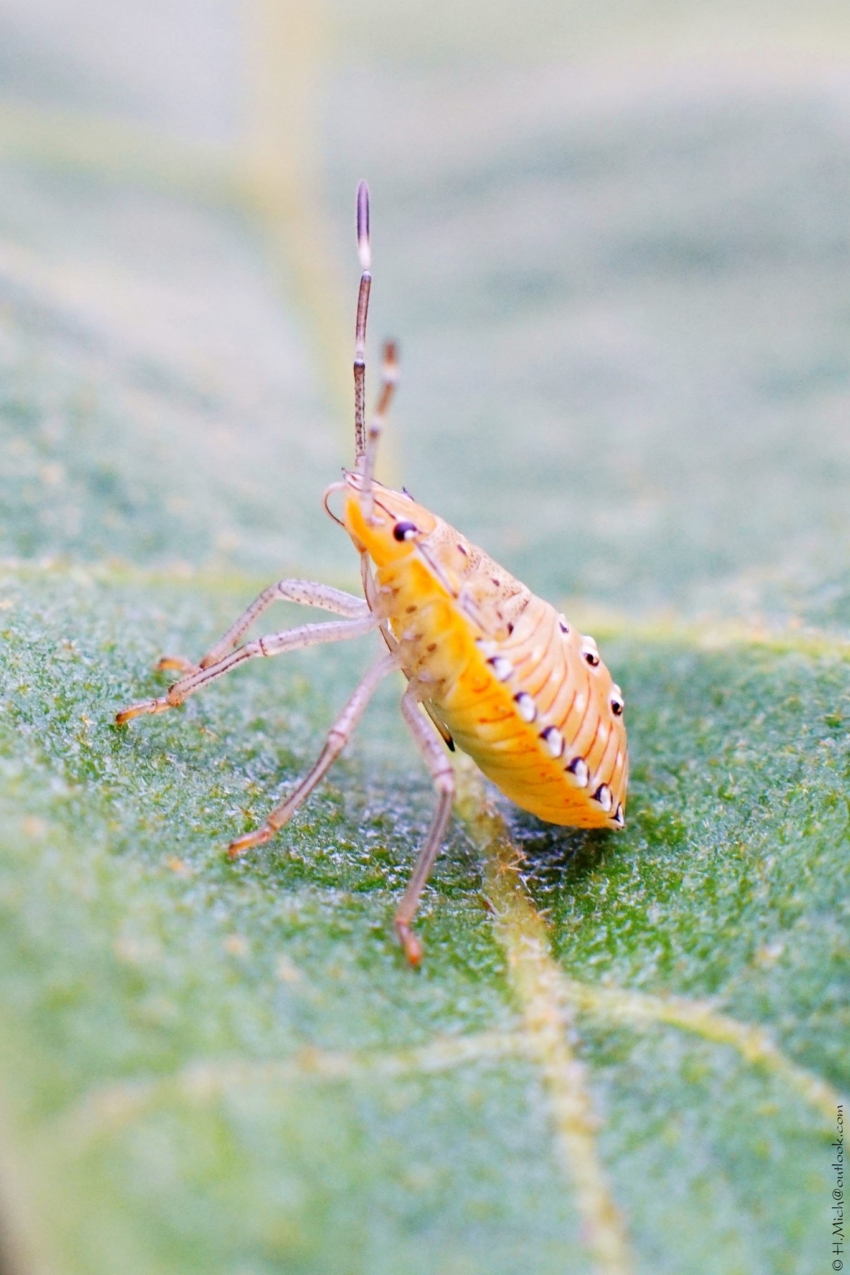 Studio-One.Art.br Repo Fotografia em Rio Preto SP/Brasil