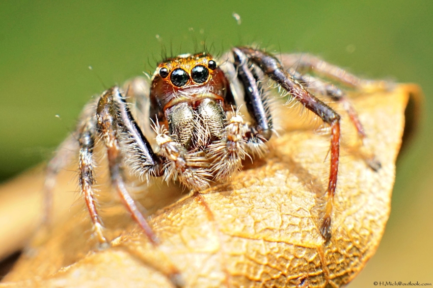 Studio-One.Art.br Repo Fotografia em Rio Preto SP/Brasil