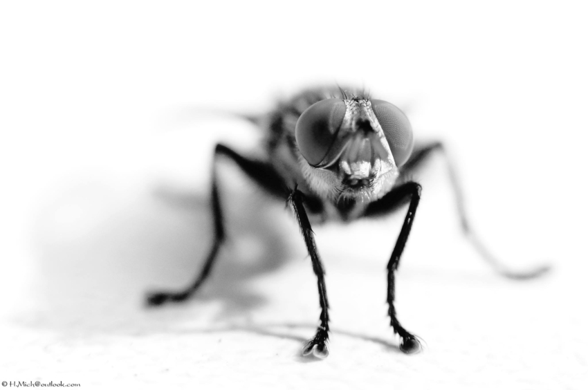 Studio-One.Art.br Repo Fotografia em Rio Preto SP/Brasil