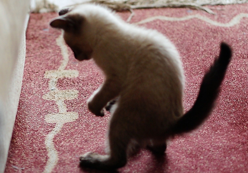 Studio-One.Art.br Repo Fotografia em Rio Preto SP/Brasil